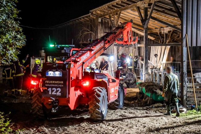 	Einsatz zweier Feuerwehren: Pferd auf Bauernhof in Moosbach in Güllegrube gestürzt