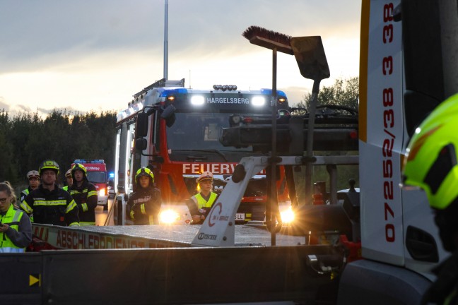 	Verkehrsunfall: Kleintransporter neben Steyrer Straße bei Hargelsberg in Sträuchern gelandet