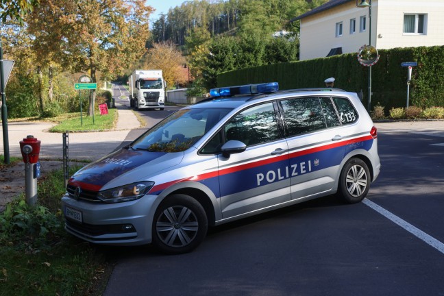 	Umgestürzter Baum: Feuerwehr und Polizei nach Sturmschaden in Schleißheim im Einsatz