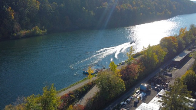 	Erkrankter oder verletzter Schwan in Wels-Pernau durch Feuerwehr mittels Boot aus der Traun gerettet