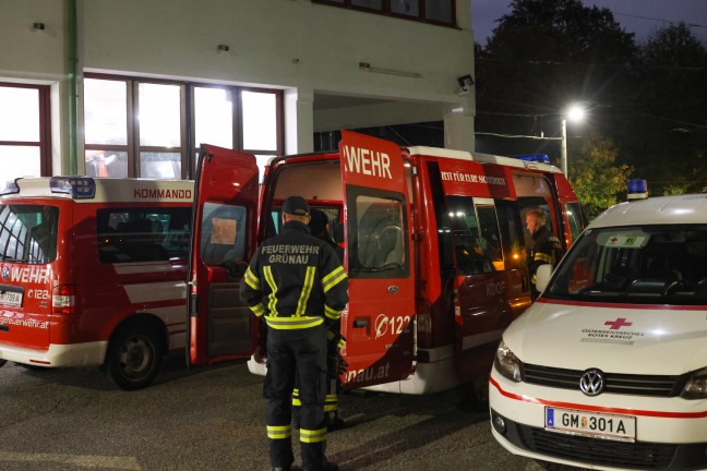 	Großangelegte Suchaktion mit Drohnen und Suchhunden nach abgängiger Pensionistin (86) in Gmunden