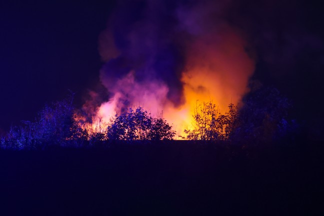 	PKW in Vollbrand: Zwei Feuerwehren bei Fahrzeugbrand auf Welser Autobahn in Marchtrenk im Einsatz