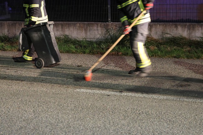 	lspur von Lambach nach Stadl-Paura sorgte fr greren Einsatz der Feuerwehren