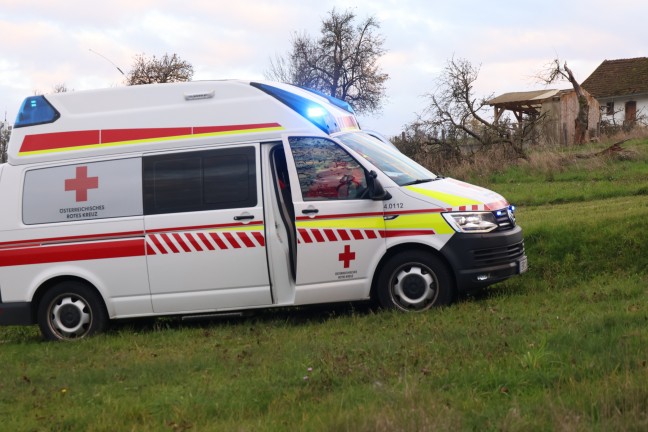 	Rechtzeitig entdeckt: Brand in einem Stall eines Bauernhofes in St. Marienkirchen an der Polsenz