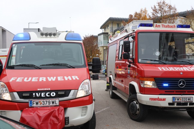 	Brand in einem Pizza-Restaurant in Thalheim bei Wels sorgte fr Einsatz zweier Feuerwehren