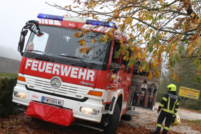 	Lenkerin verletzt: Auto nach Kollision mit Begrenzungsstein in Bad Wimsbach-Neydharting berschlagen