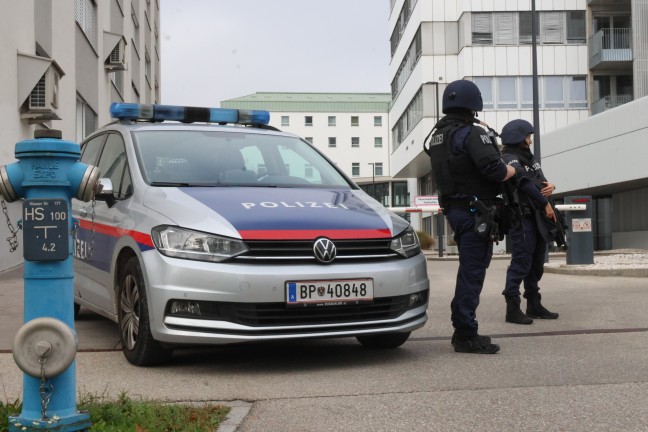 	Schwer bewaffnet: Polizei nach Hinweis zu Doppelmord im Mhlviertel auch in Wels-Neustadt im Einsatz