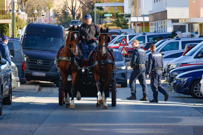 	Doppelmord im Mhlviertel: Auto von flchtigem Tter in einem Waldstck gefunden