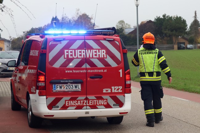 	Tierrettung in Marchtrenk: Katze entschied sich bei Anblick der Drehleiter fr eigenstndigen Abstieg