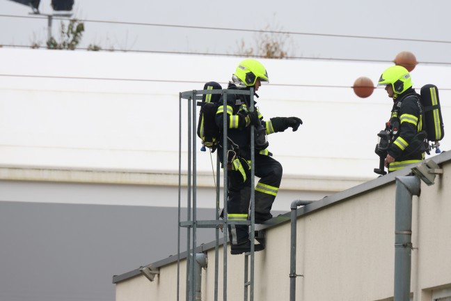 	Zwei Feuerwehren bei Tischlerei in Eberstalzell im Einsatz