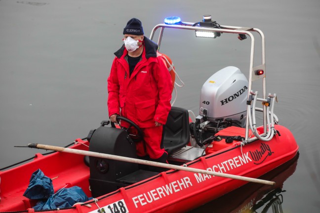 	Verdacht auf Vogelgrippe: Feuerwehr bei Bergung verendeter Schwne in Marchtrenk im Einsatz