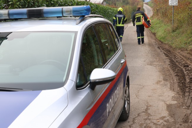 	Schleiheim: Leblose Person durch Einsatzkrfte aus der Traun geborgen