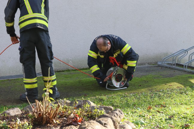 	Feuerwehr bei Kchenbrand in einem Mehrparteienwohnhaus in Vcklabruck im Einsatz