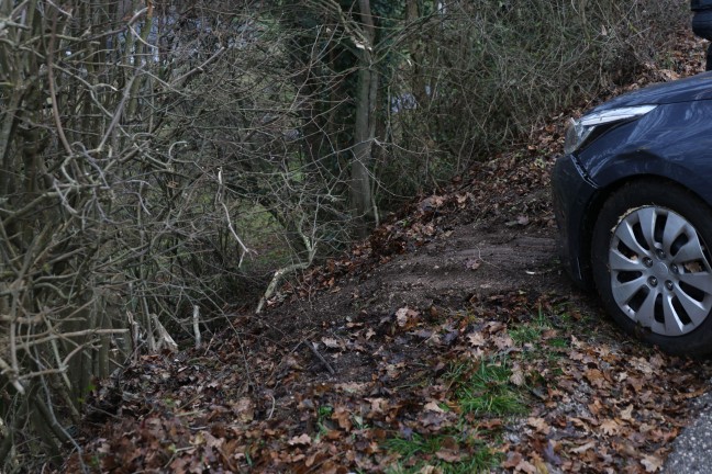 	Personenrettung: Auto bei Rckwrtseinparkversuch in Steinhaus in einer Bschung gelandet