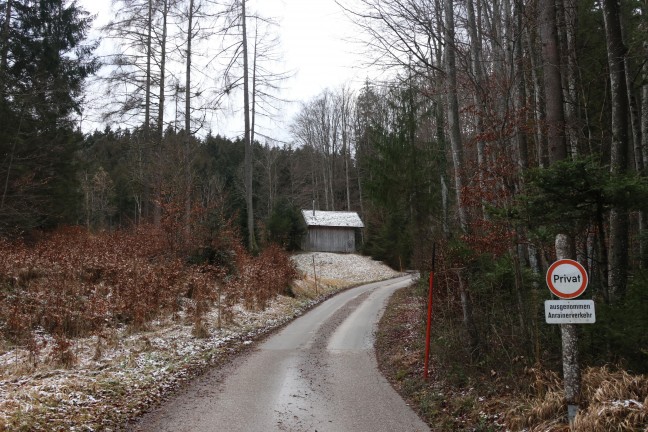 Bergrettung, Rettung und Feuerwehr bei Personenrettung in einem Wald in Scharnstein im Einsatz