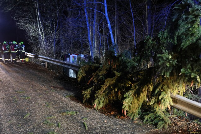 Kleintransporter bei Unfall in Kremsmnster hinter Leitschiene in ein Waldstck gestrzt