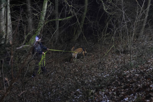 Kleintransporter bei Unfall in Kremsmnster hinter Leitschiene in ein Waldstck gestrzt