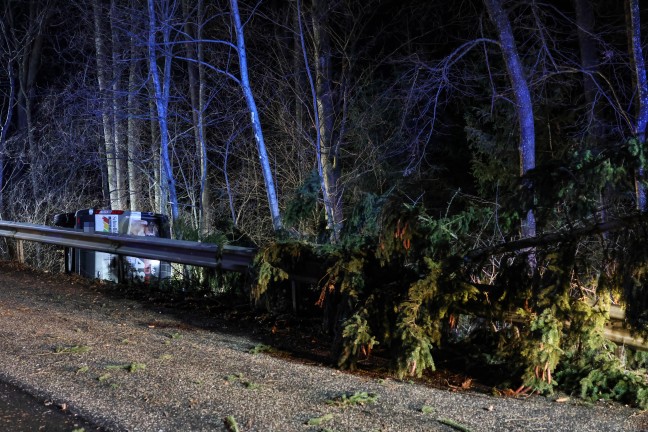 Kleintransporter bei Unfall in Kremsmnster hinter Leitschiene in ein Waldstck gestrzt