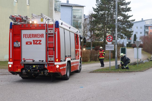 Brand einer Mlltonne bei einer Mllinsel in Wels-Lichtenegg