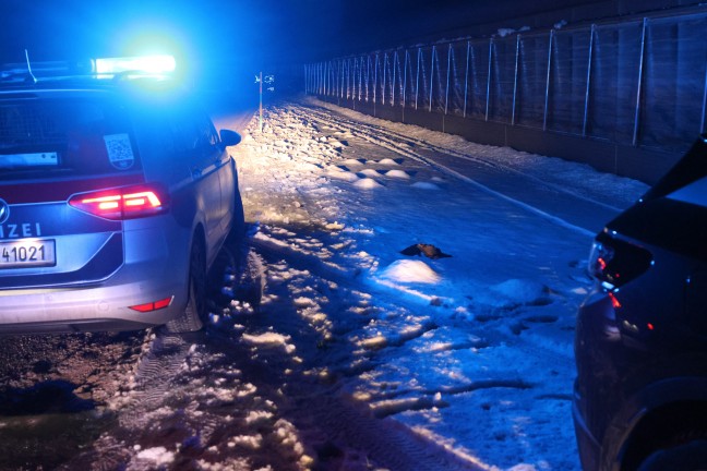 Unfall in Waldneukirchen: Auto nach kurzer Fahrt abseits der Strae gegen Baum gekracht