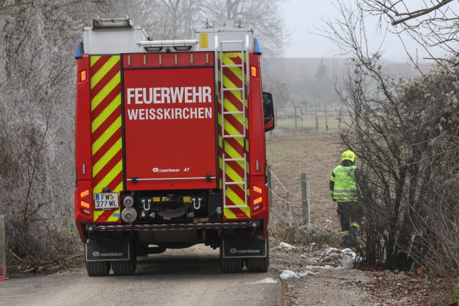 Feuerwehr und Tierarzt bei Rettung eines gestrzten Pferdes auf einer Weide in Pucking im Einsatz