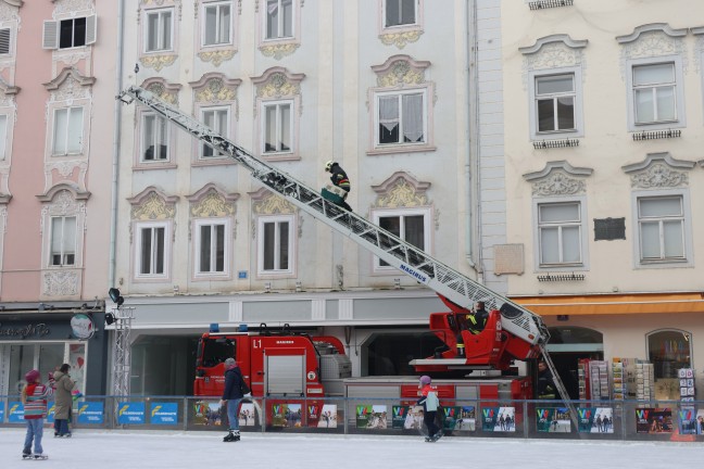 Feuerwehr im Einsatz: Taube hing in Wels-Innenstadt kopfber in einem Taubenschutznetz fest