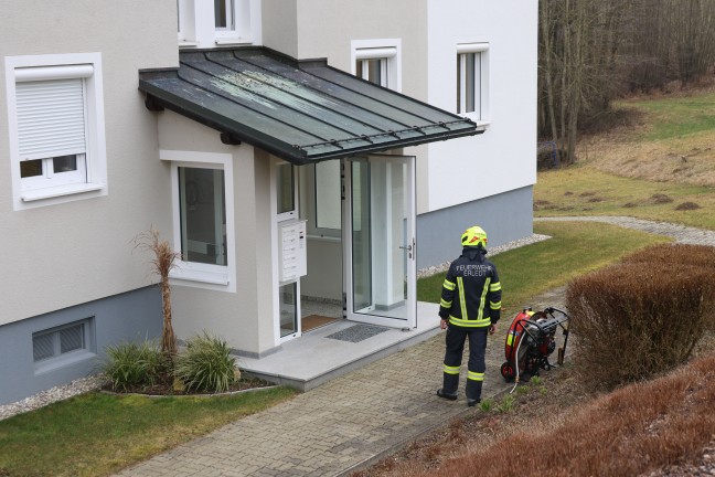 Vier Feuerwehren bei Brand im Keller eines Mehrparteienwohnhauses in Waldkirchen am Wesen im Einsatz