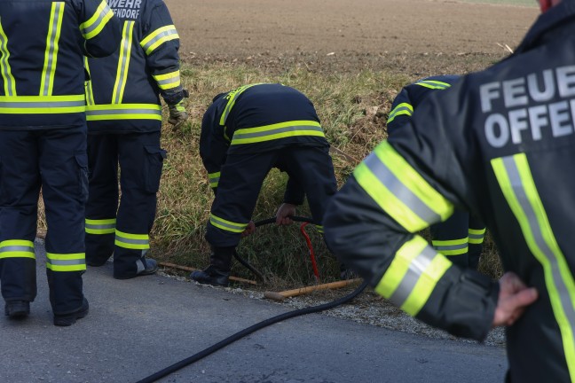 Katze in Offenhausen durch Einsatzkrfte der Feuerwehr aus Kanalrohr gerettet