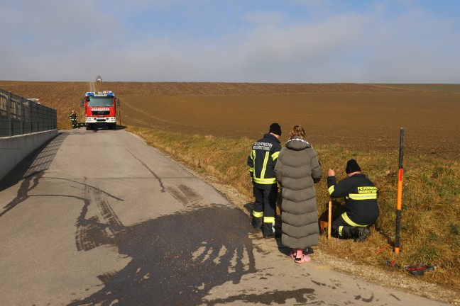 Katze in Offenhausen durch Einsatzkrfte der Feuerwehr aus Kanalrohr gerettet