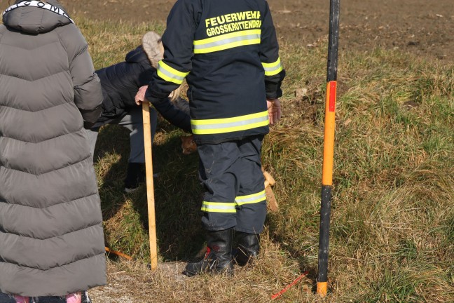 Katze in Offenhausen durch Einsatzkrfte der Feuerwehr aus Kanalrohr gerettet