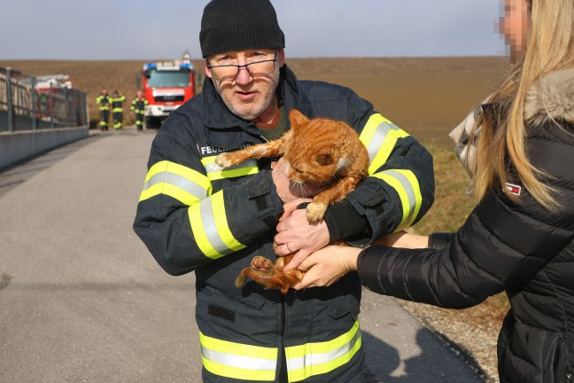 Katze in Offenhausen durch Einsatzkrfte der Feuerwehr aus Kanalrohr gerettet