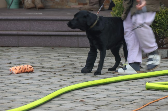 Hund als Brandmelder: Einsatz zweier Feuerwehren bei Brand in einem Wohnhaus in St. Marien