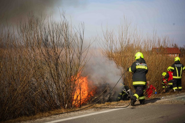 Ein Toter nach Frontalkollision auf der Lamprechtshausener Strae in Neukirchen an der Enknach