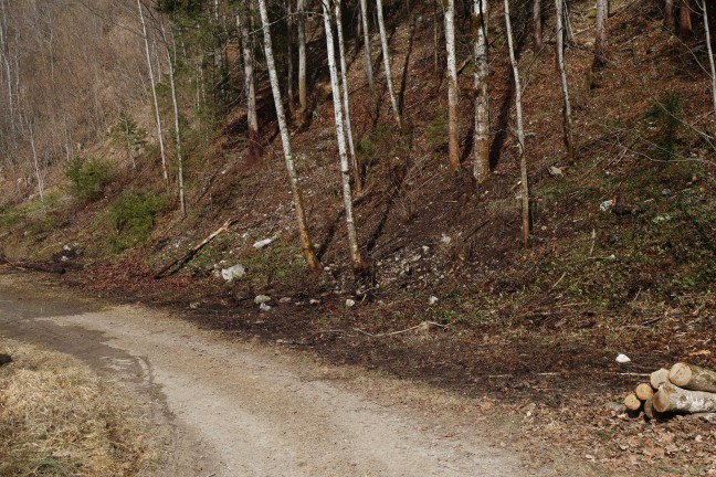 Greren Waldbrand am Teichlberg bei St. Pankraz im letzten Moment gerade noch verhindert