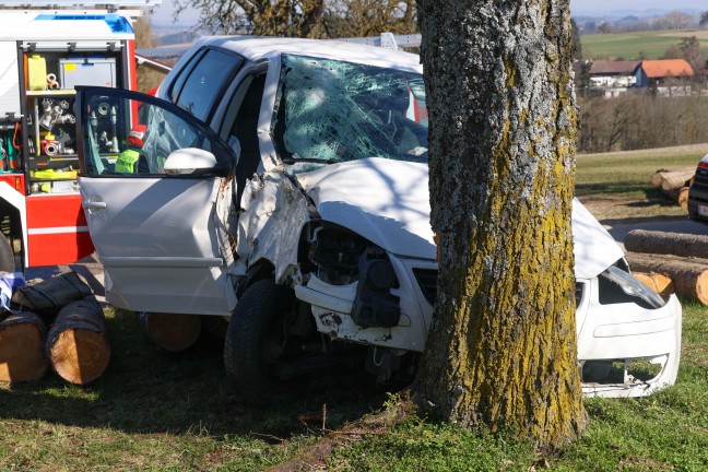 Frontalcrash gegen Baum: Verkehrsunfall in Schllberg fordert zwei Schwerverletzte