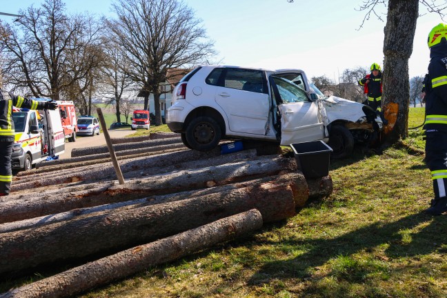 Frontalcrash gegen Baum: Verkehrsunfall in Schllberg fordert zwei Schwerverletzte