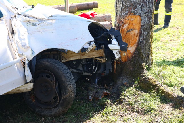 Frontalcrash gegen Baum: Verkehrsunfall in Schllberg fordert zwei Schwerverletzte