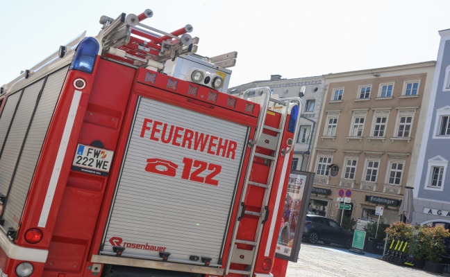 Feuerwehr bei Tierrettung in Wels-Innenstadt im Einsatz
