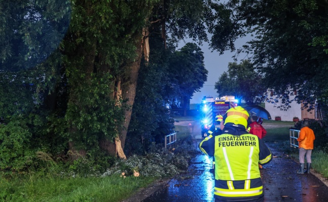 Heftige Gewitter: Großer Baum in Gunskirchen von Blitz regelrecht gespalten