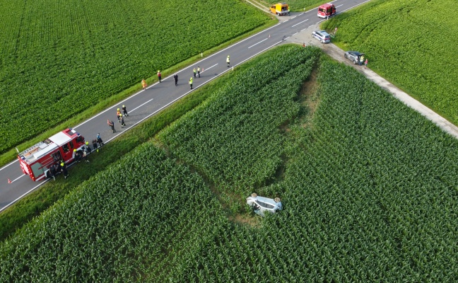 Mehrmals überschlagen: Auto bei schwerem Verkehrsunfall in Wolfern im Maisfeld gelandet