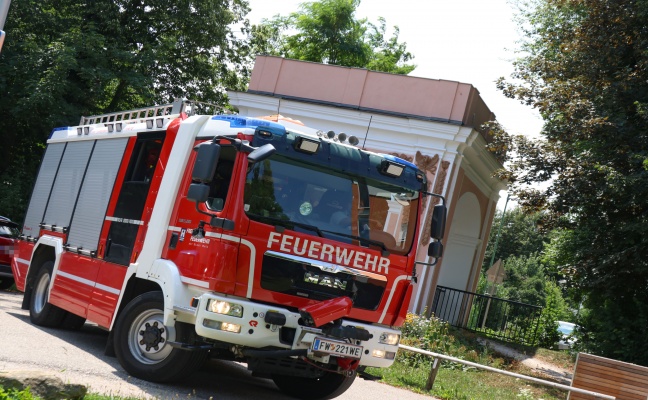 Katze in Wels-Lichtenegg durch Feuerwehr mittels Leiter vom Baum gerettet