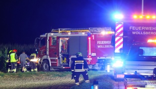 Auto im Maisfeld: PKW bei Verkehrsunfall in Steinerkirchen an der Traun von Straße abgekommen