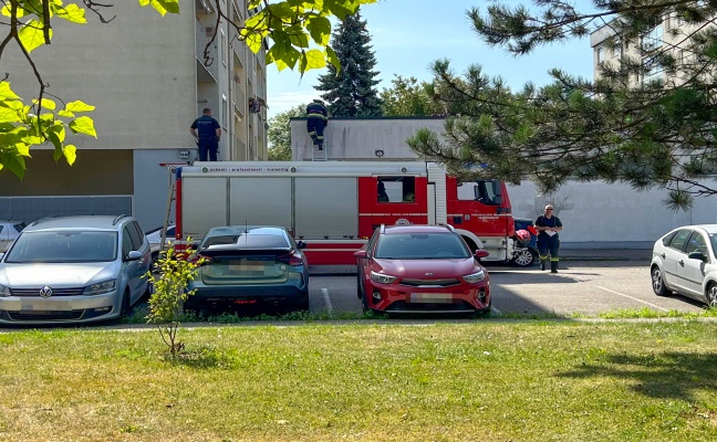 Katze auf Dach: Einsatzkrfte der Feuerwehr bei Tierrettung in Wels-Pernau im Einsatz