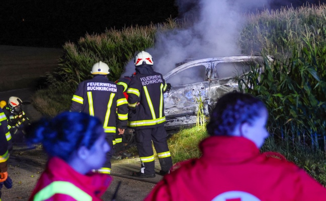 Zwei Tote: Unfallopfer bei Buchkirchen nach Frontalaufprall an Baum im Auto verbrannt