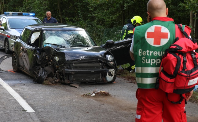 Auto gegen Baum: Eine Tote und drei teils Schwerverletzte bei folgenschwerem Unfall in Waizenkirchen