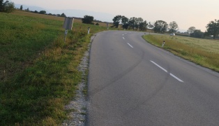 Autolenkerin bei Fischlham mit PKW von Straße abgekommen und verunfallt