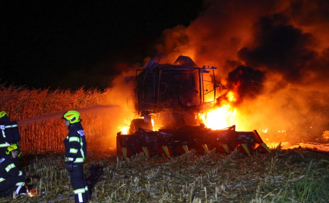 Mhdrescher stand bei Erntearbeiten auf Feld in Steinhaus in Vollbrand