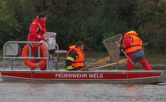 Kurioser Einsatz: Feuerwehr fischte in Wels-Vogelweide bndelweise Geldscheine aus dem Hochwasser