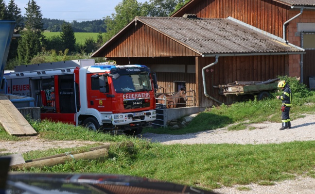 Feuerwehr bei Unterstützung einer Tierärztin in einem Pferdestall in Pennewang im Einsatz