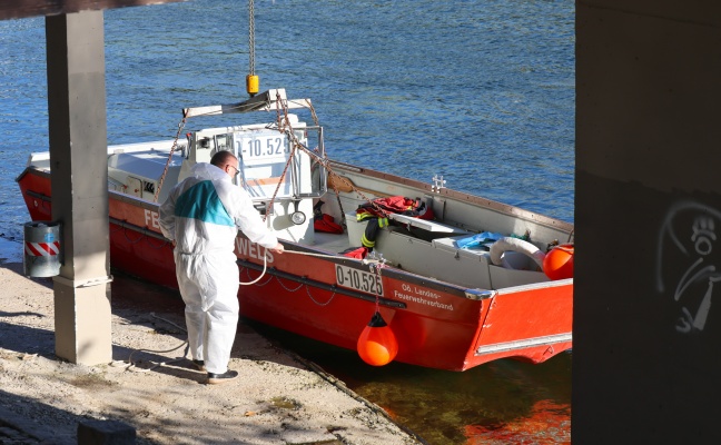 Erkrankter oder verletzter Schwan in Wels-Pernau durch Feuerwehr mittels Boot aus der Traun gerettet